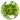 Olivine