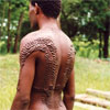 Cliquez pour agrandir Scarification