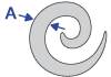 Comment mesurer �largisseur spirale acrylique