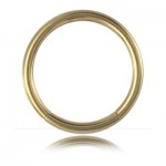Anneau segment Gold PVD