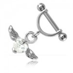 �trier acier avec pendentif Coeur ail� et strass