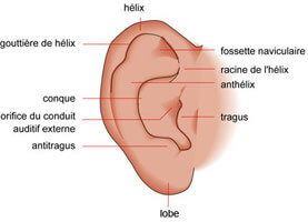 Pavillon de l'oreille