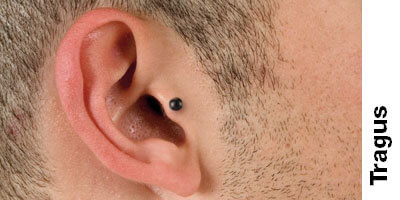 Piercing Tragus