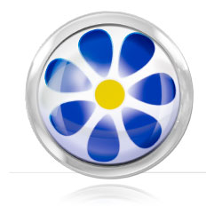 Boule acier logo Fleur Bleue pour 1.6mm