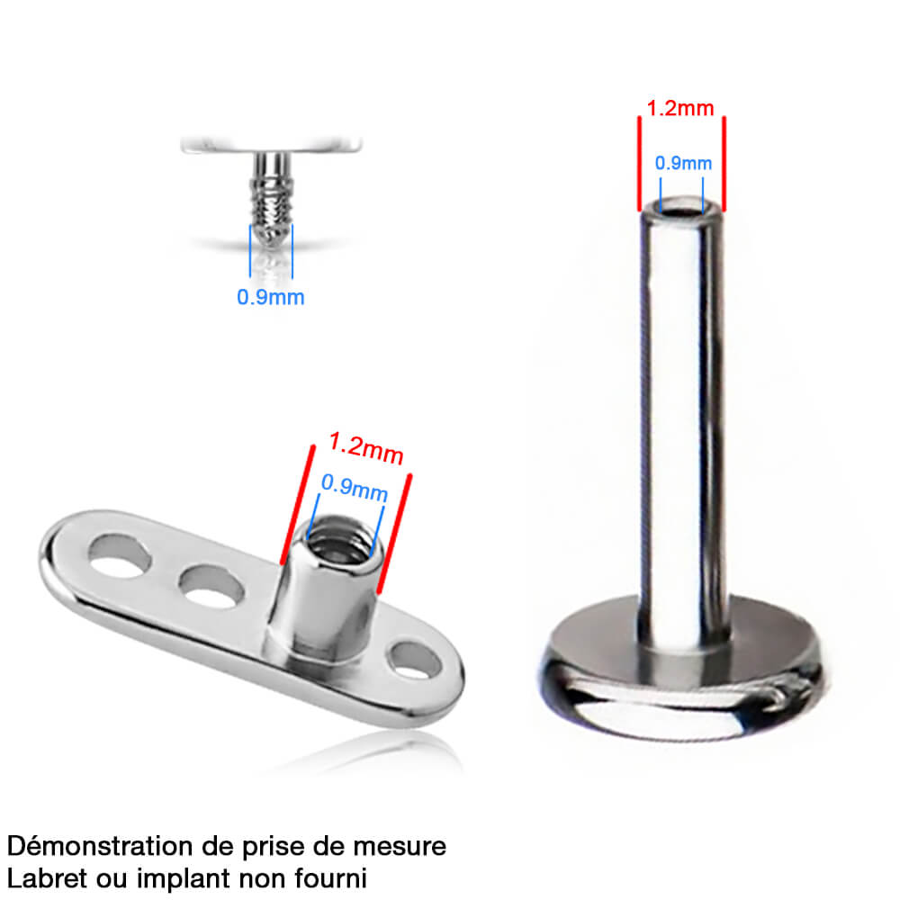 Feuille D'érable Plaqué Or Pour Piercing - Tige 1.2 Mm, Diamètre 6 Mm, Acier Chirurgical 316L