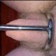 Cockring avec plug urétral