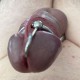 Boule urétrale 8mm avec anneau de gland