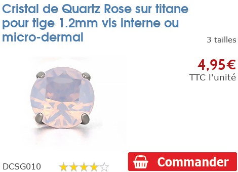 DIY Top à Visser sur Tige à Filetage Interne